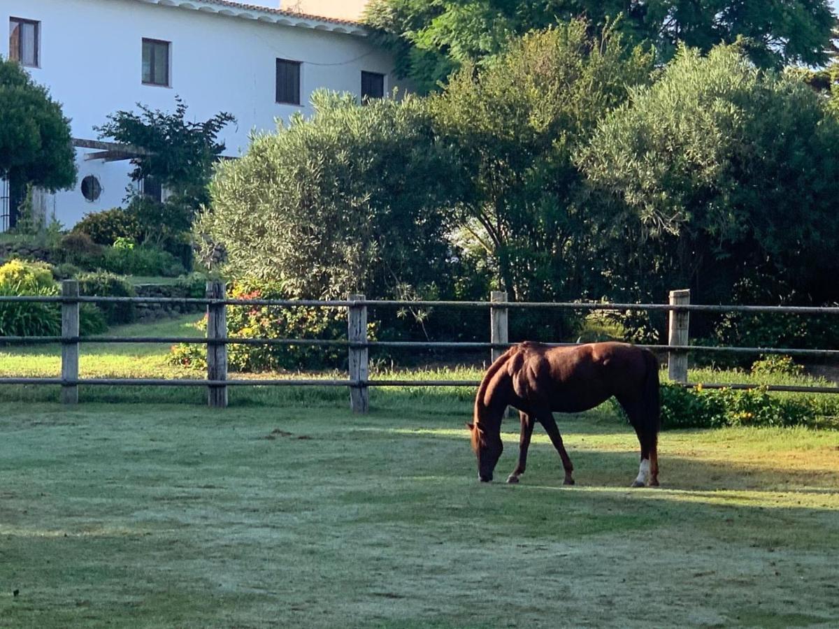 Cortijo De Guerra Guest House Пуерто Реал Екстериор снимка